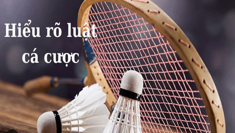 Cách Chơi Cá Cược Cầu Lông Tại DAGA Cho Người Mới 2 Cách Chơi Cá Cược Cầu Lông Tại DAGA Cho Người Mới
