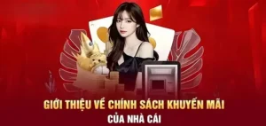 Hoàn Trả Không Giới Hạn Tại Nhà Cái DAGA Có Gì Đặc Biệt